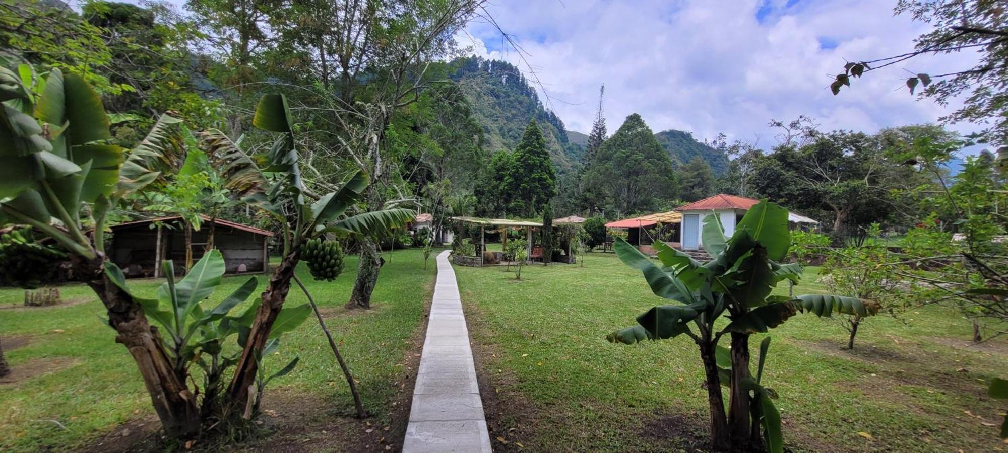 Exclusivo Cocora Con Jacuzzi Salento Quindio Villa Exterior photo